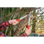ClassicCUT Two Handed Pruner – Corona – 3/4″